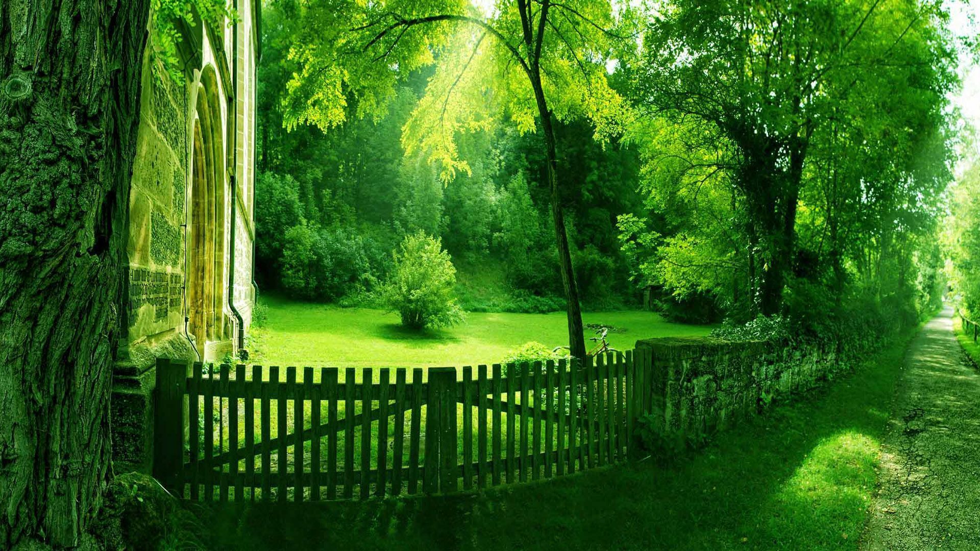 Green Scenery Grass Trees Plants Bushes Wood Fence HD Green Aesthetic Wallpaper