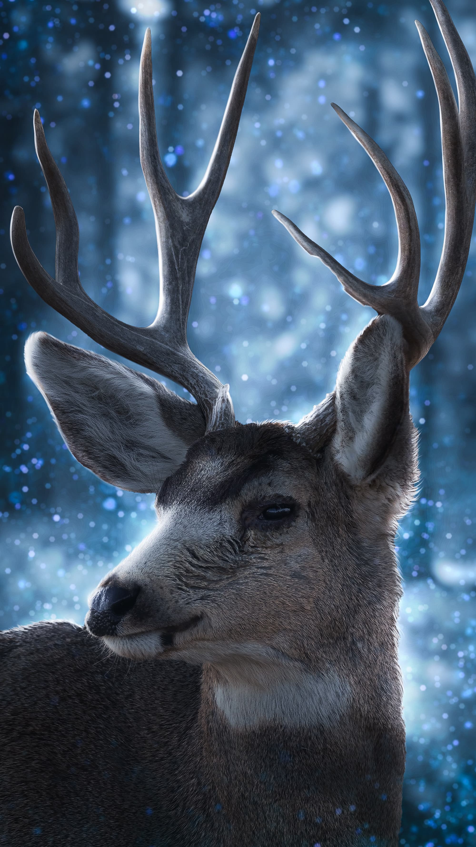 Magical Forest Deer HD Wallpaper for Mobile