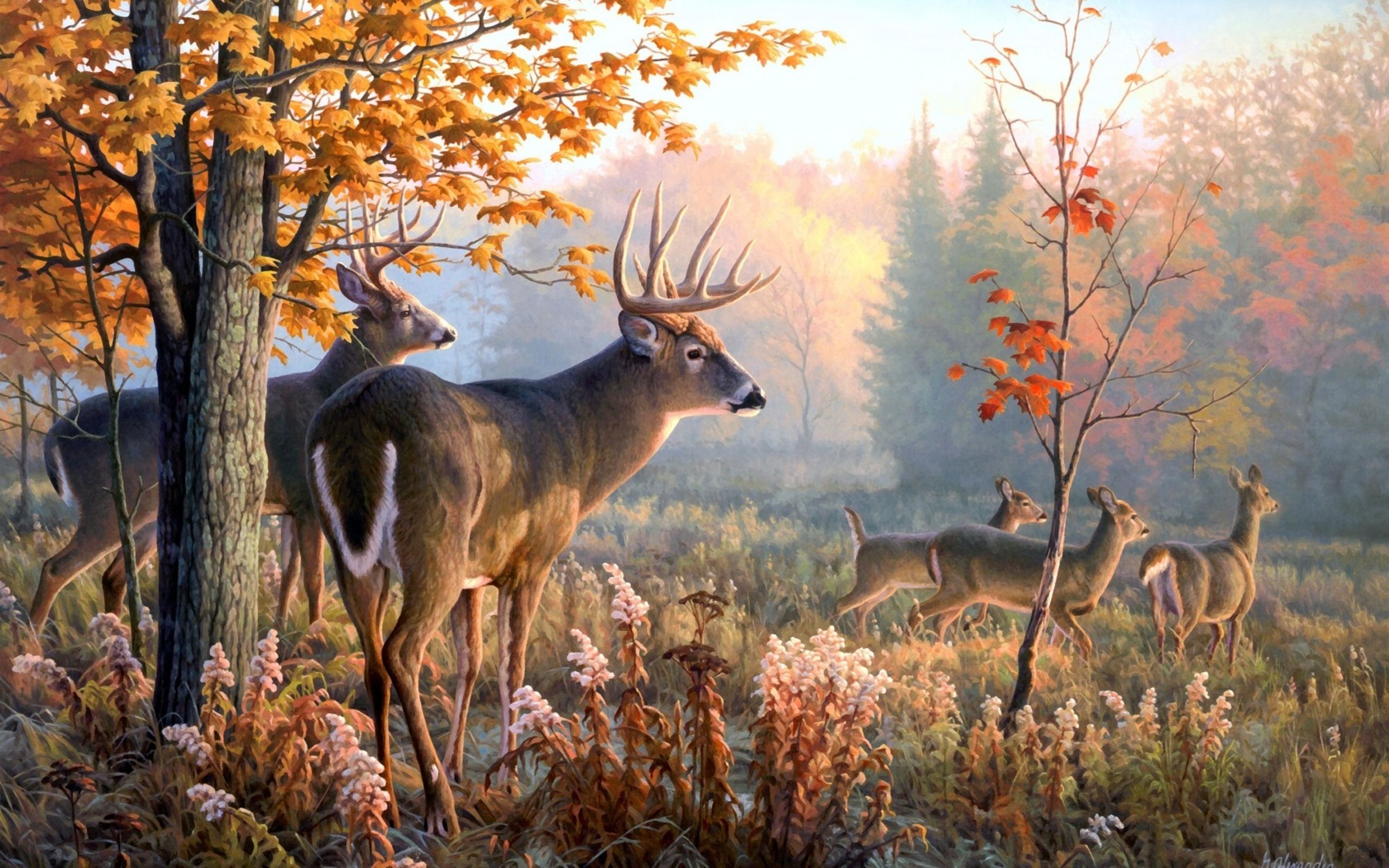 A painting of a deer family in the woods. - Deer