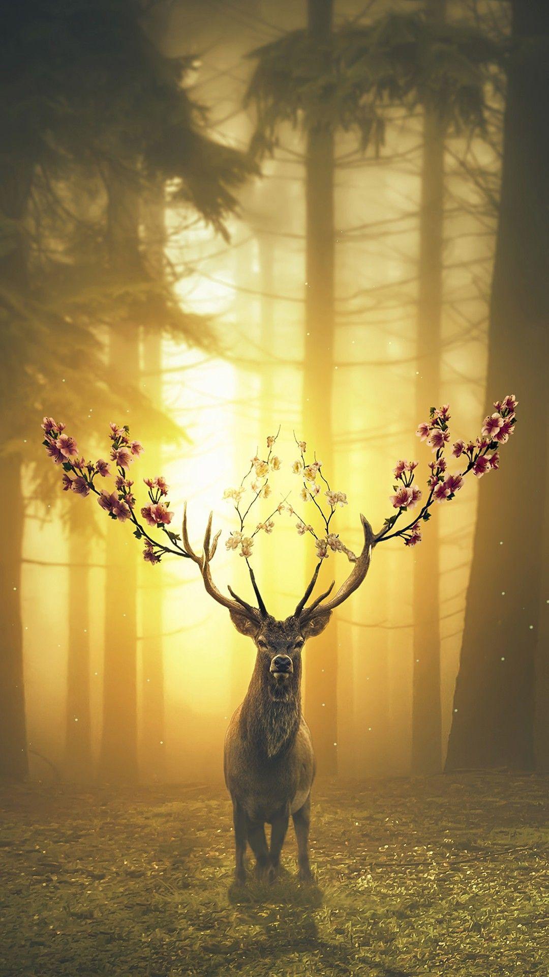 Spring Deer Wallpaper