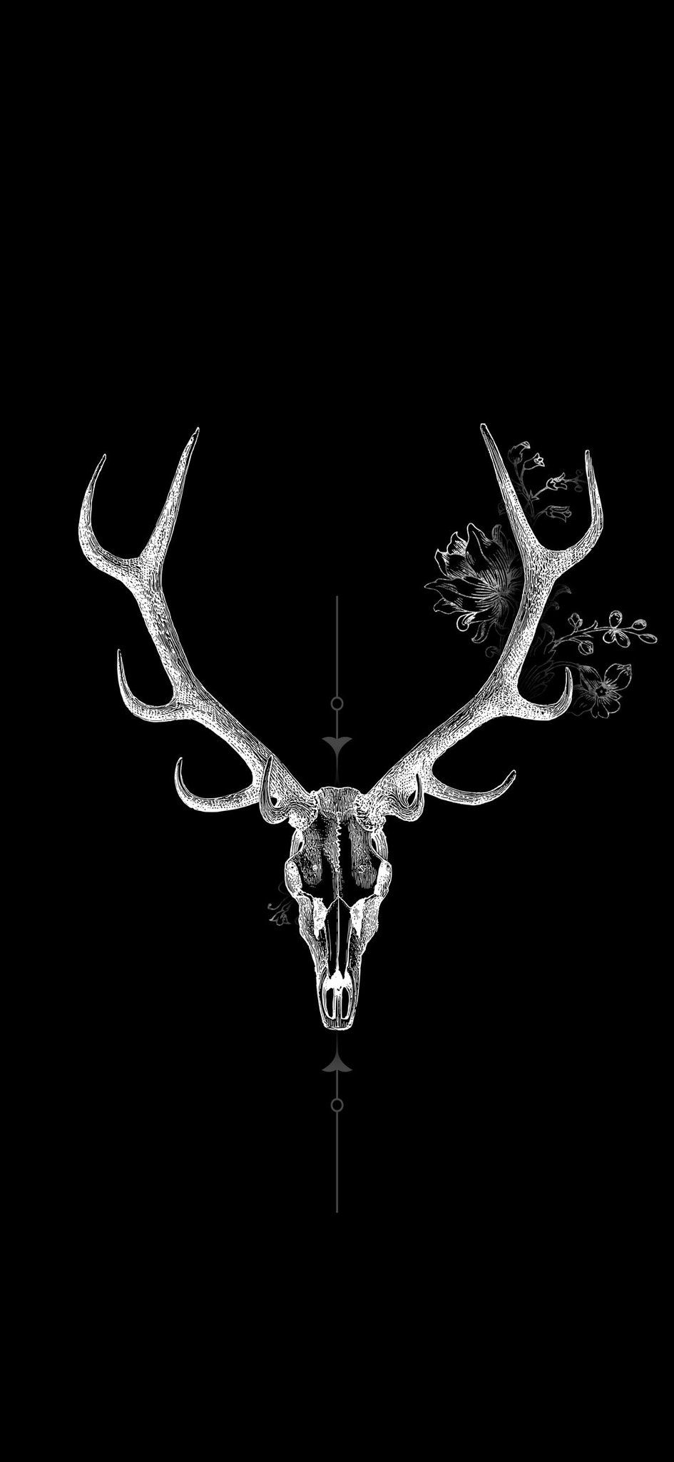 IPhone wallpaper with a deer skull - Deer