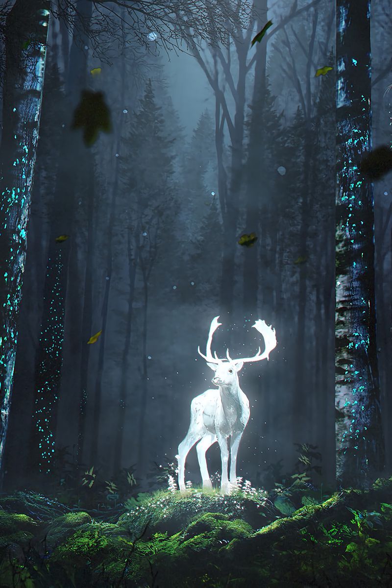 A deer standing in a forest with moss and leaves. - Deer