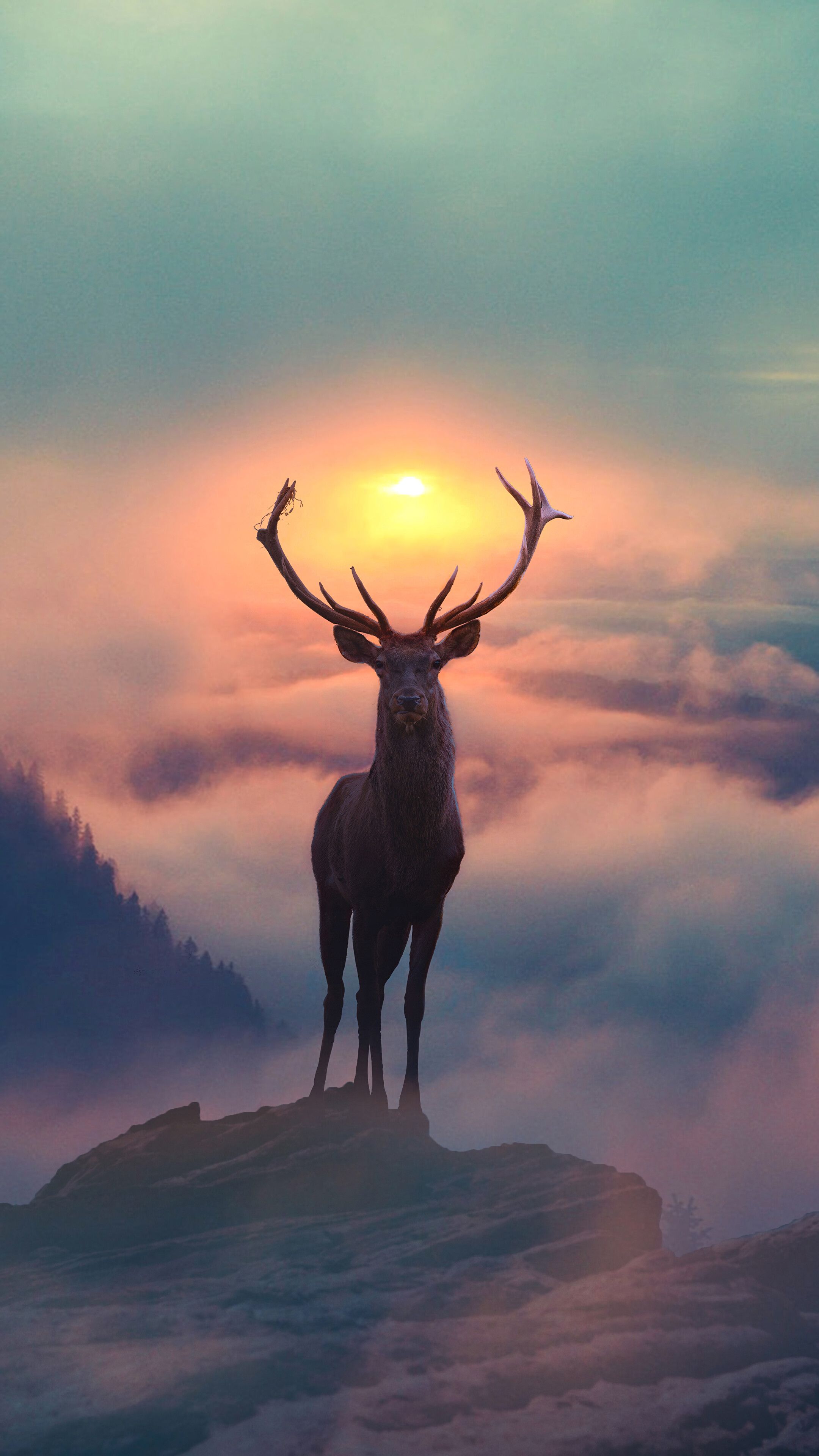 Reindeer, Mountain, Fog, Scenery, Photograpy, 4k Gallery HD Wallpaper