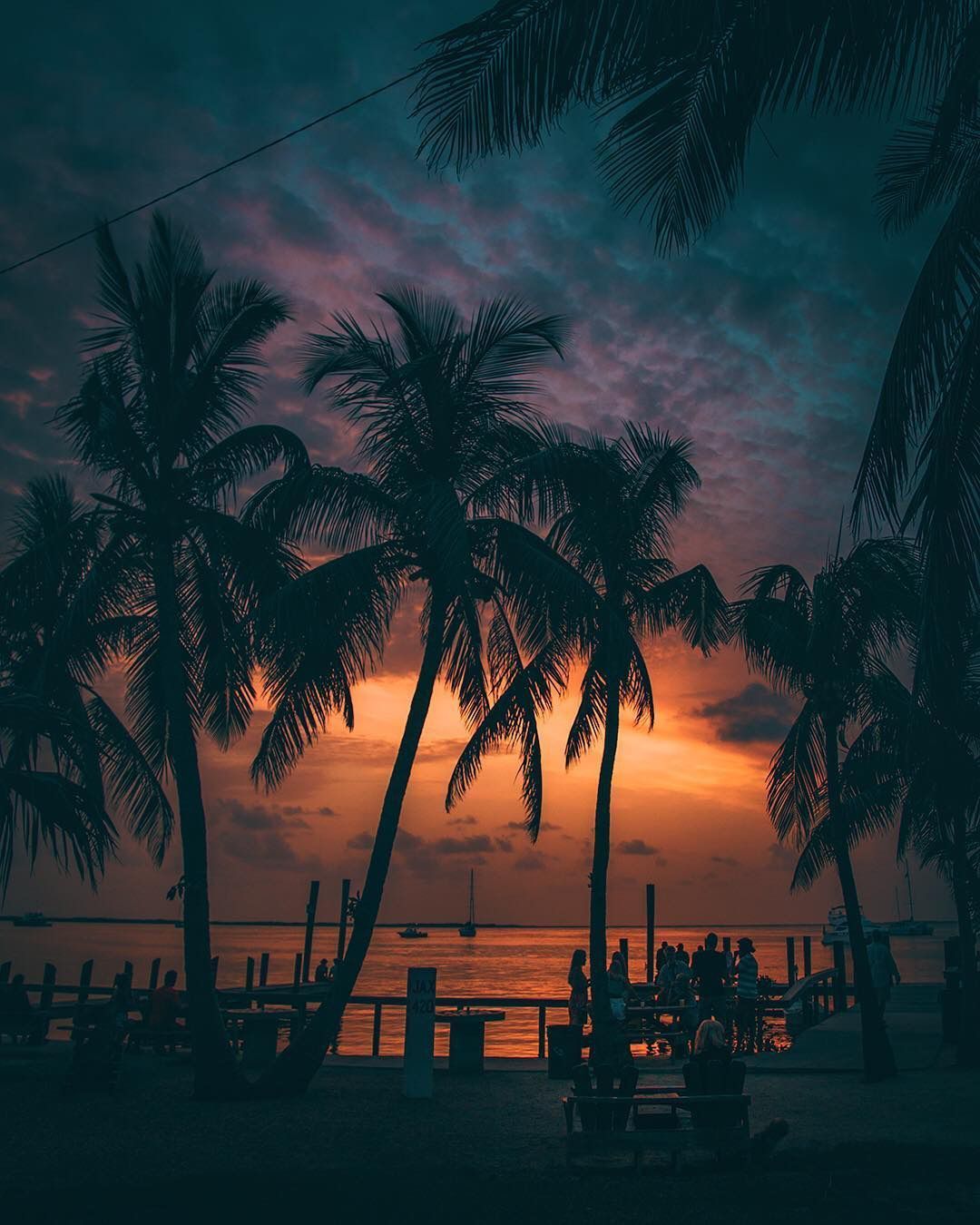 A beautiful sunset with palm trees and a boat in the distance. - Florida