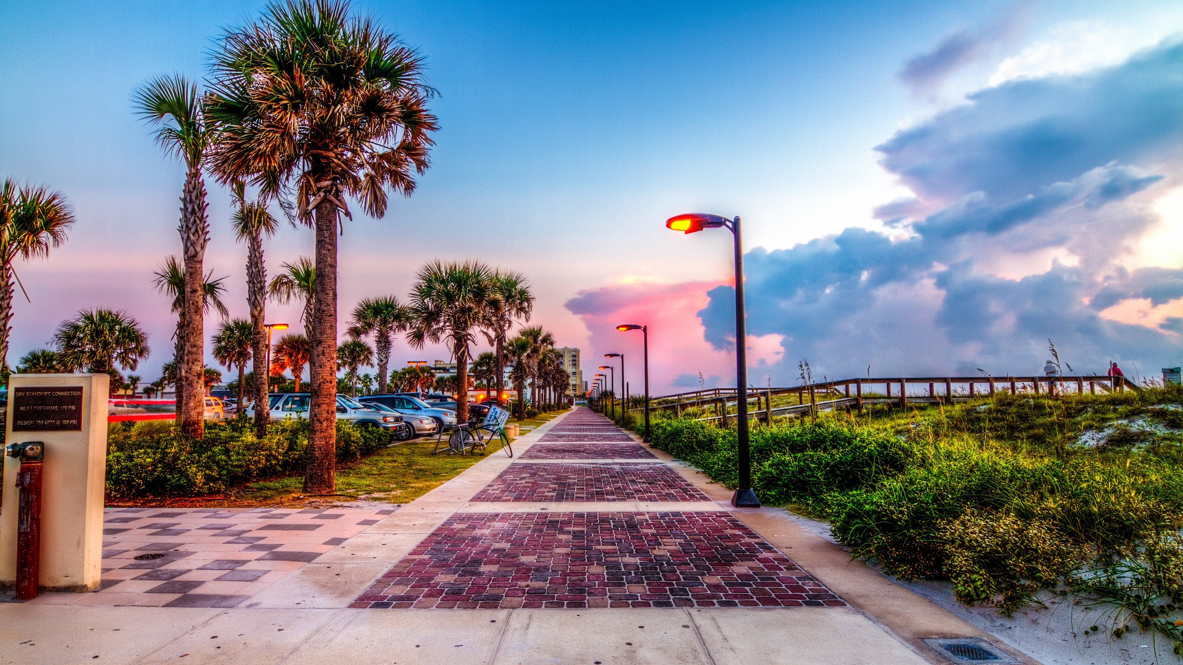 A brick sidewalk surrounded by palm trees and a cloudy sky. - Florida