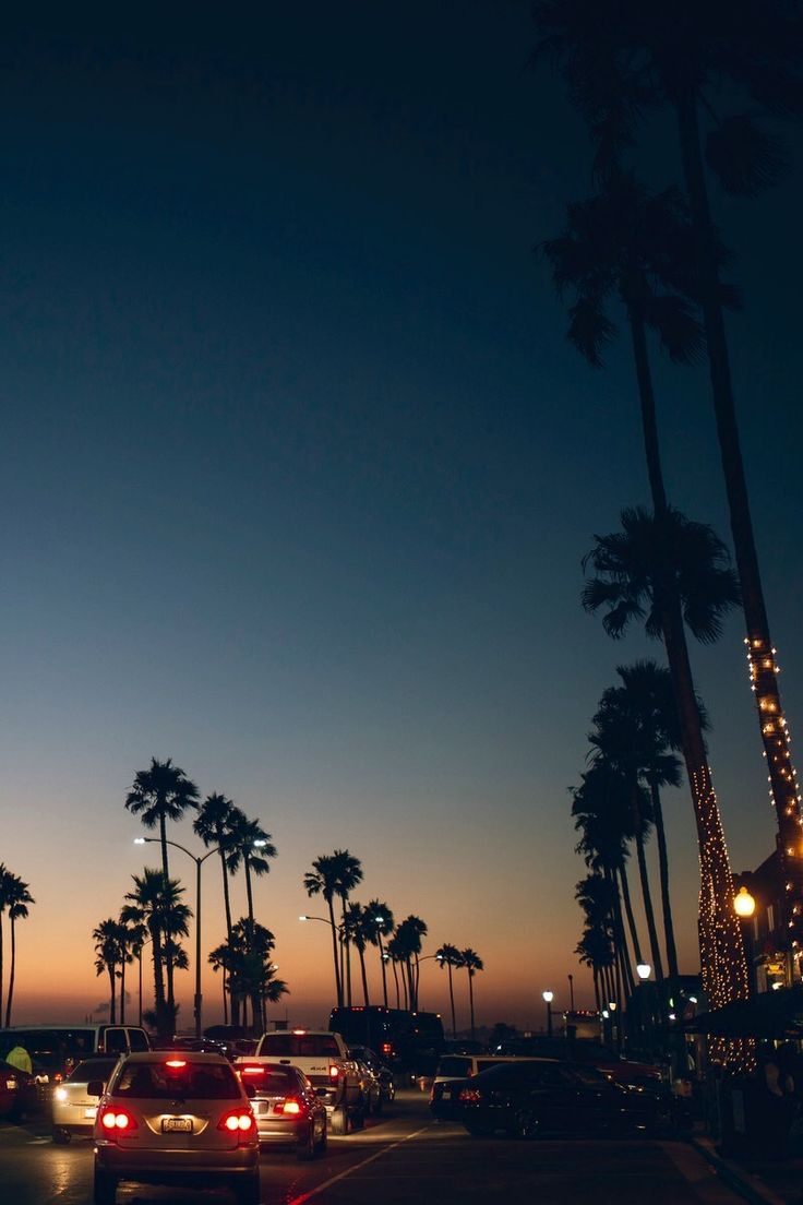 Cars driving down the road with palm trees on both sides - Florida