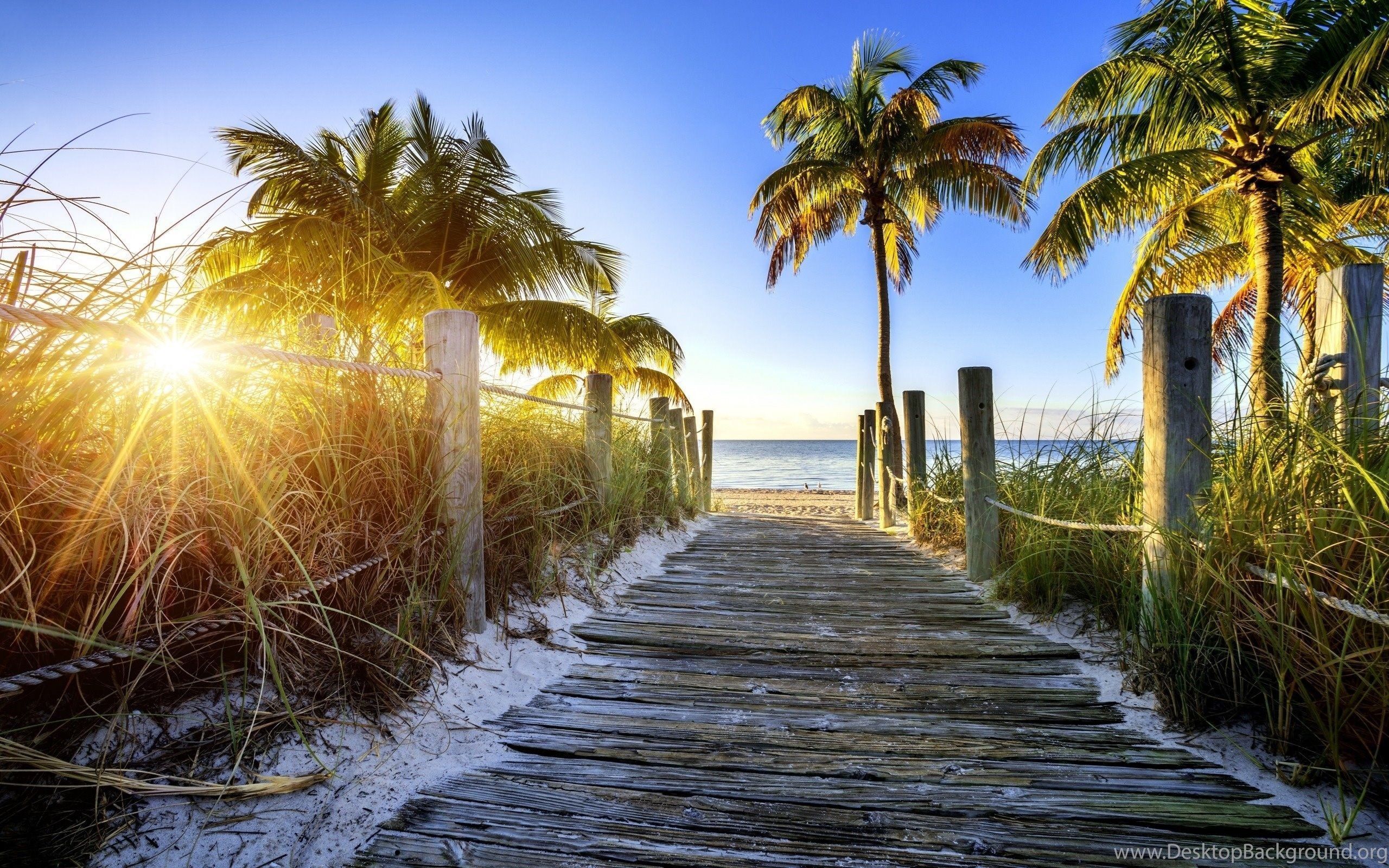 A wooden walkway leading to the beach - Florida