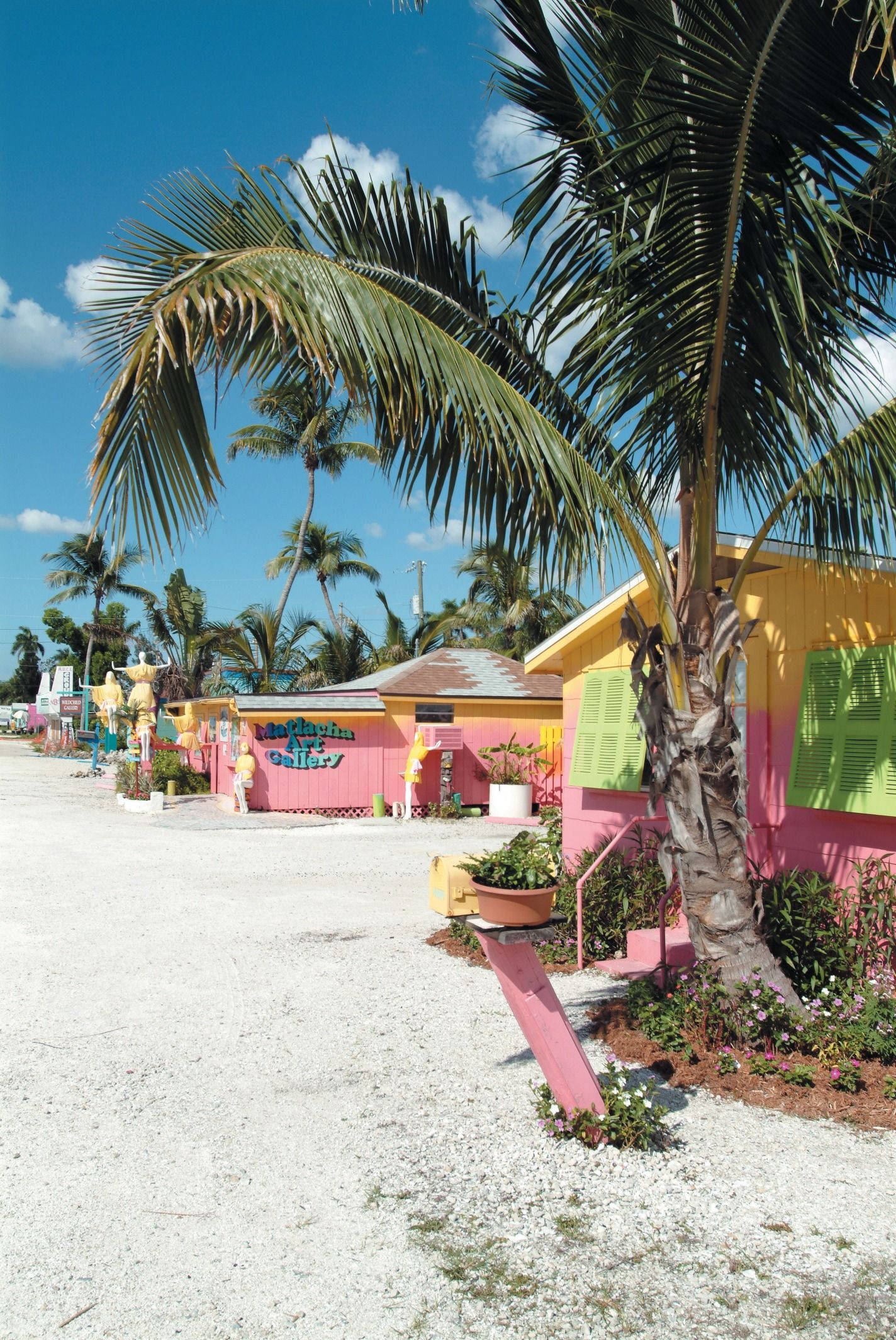 A palm tree in front of some colorful buildings - Florida