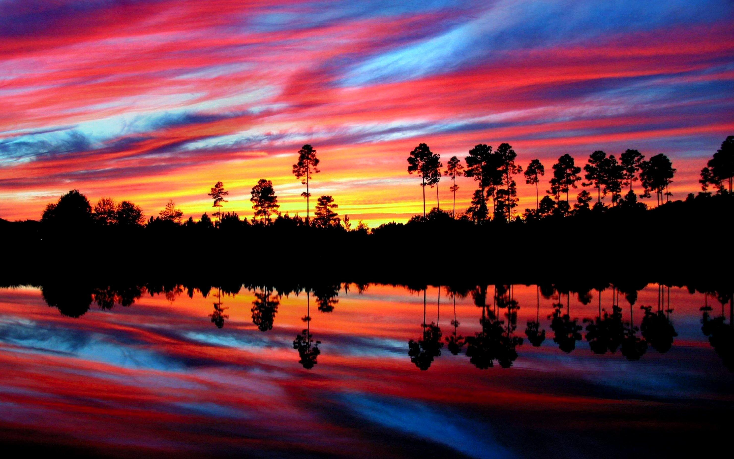 A sunset over the water with trees in it - Florida, sunrise