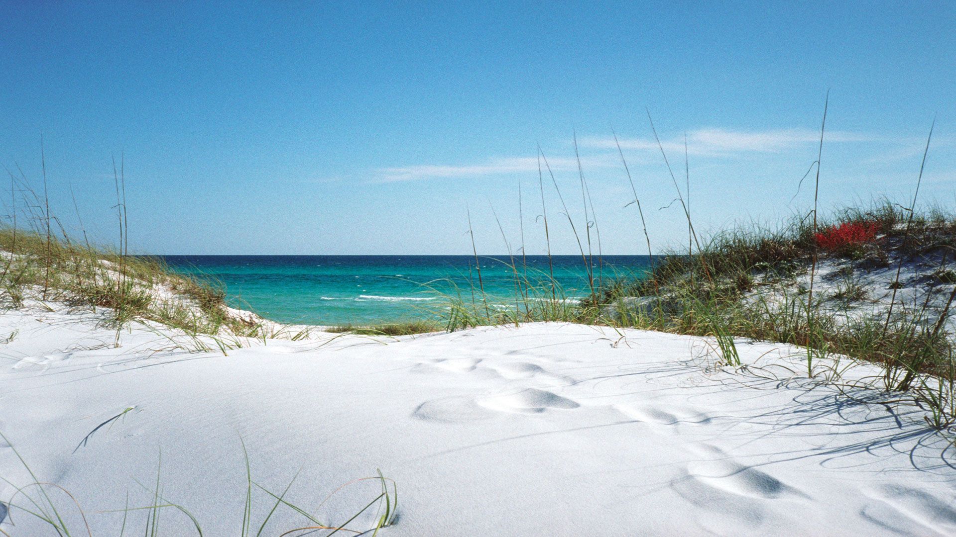 A sandy beach with footprints in the snow - Florida