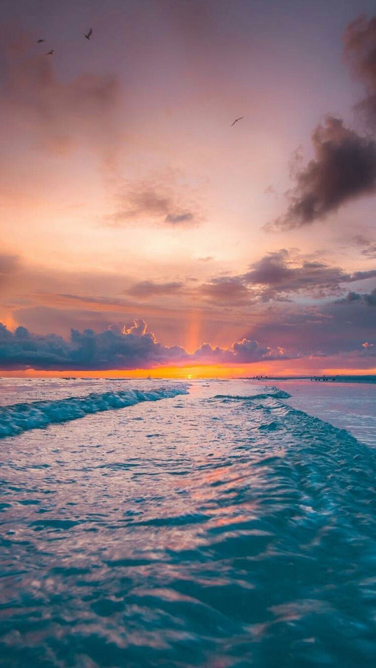 A beautiful sunset over the ocean with birds flying in the sky - Florida