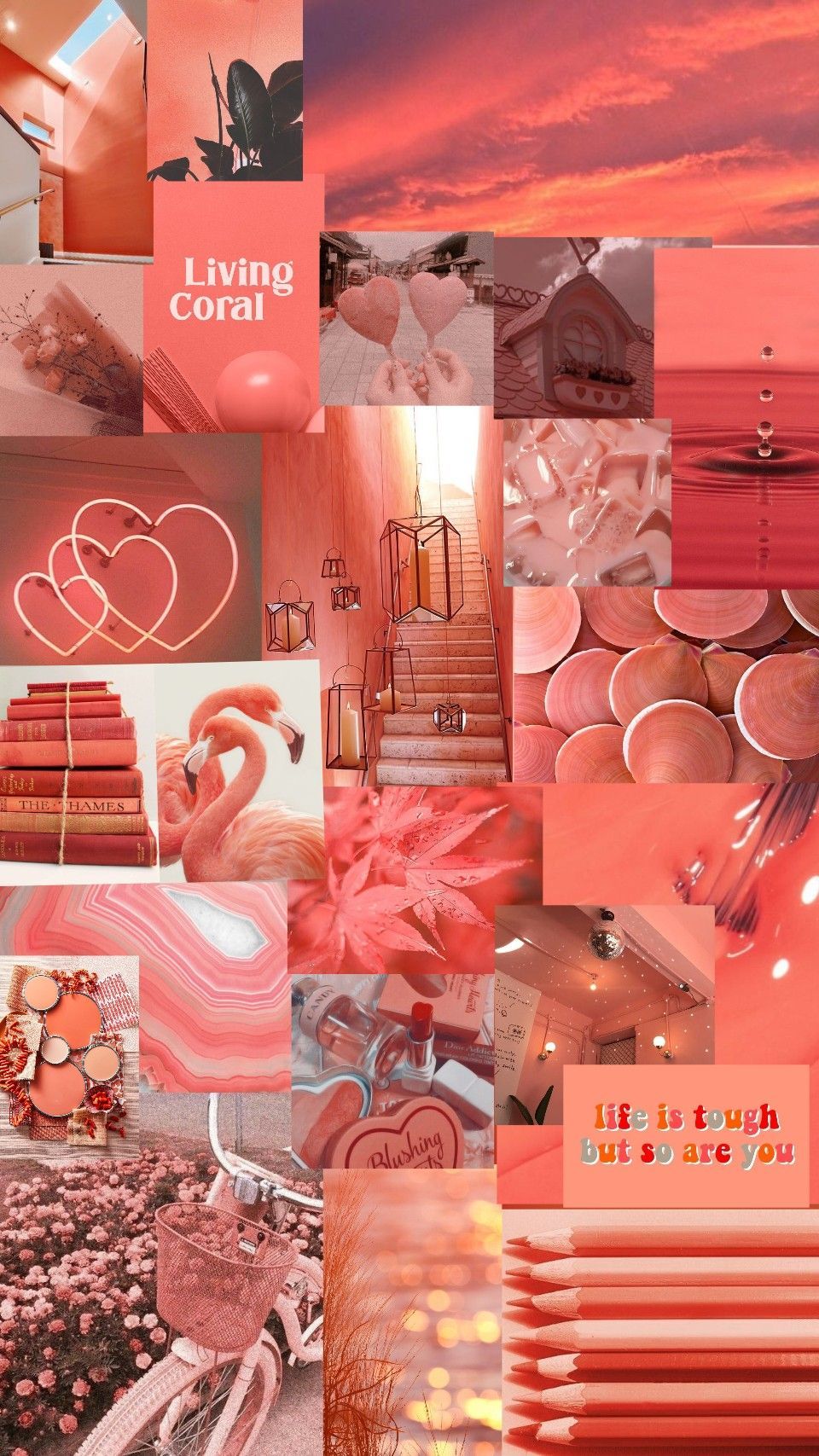 A collage of pictures that are pink - Salmon, coral