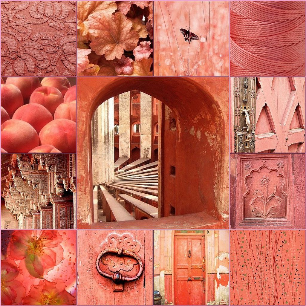 A collage of 12 images of various things that are pink or red. - Salmon