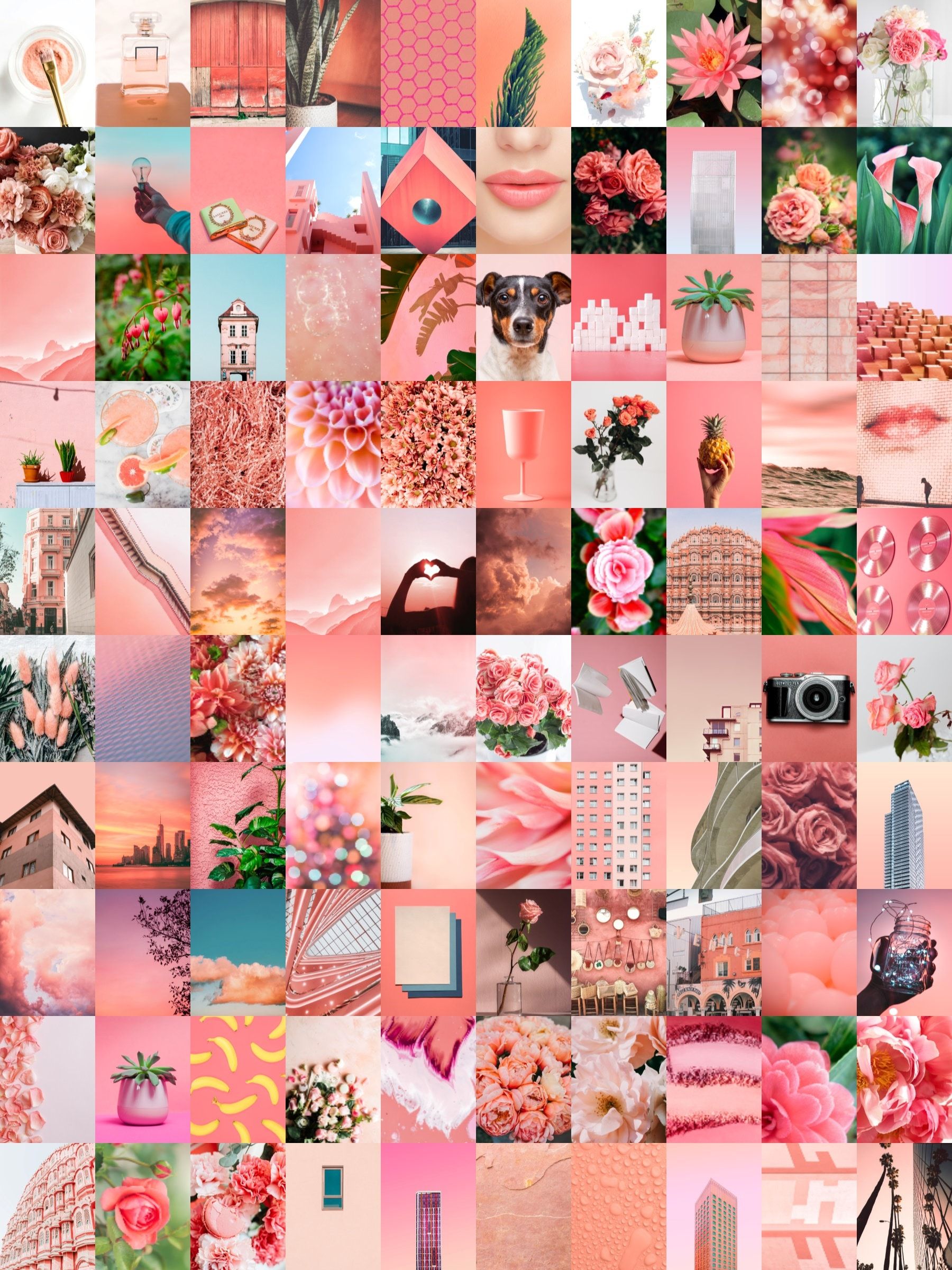 A collage of pictures with pink flowers and other items - Coral, salmon