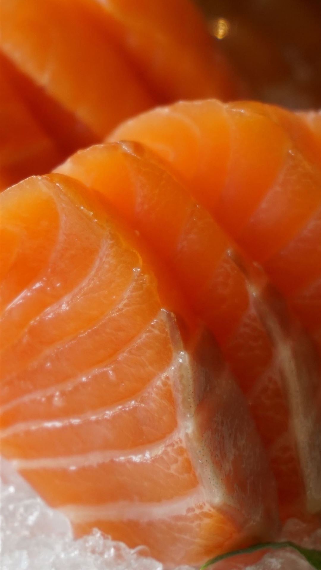 A close up of some salmon on ice - Salmon