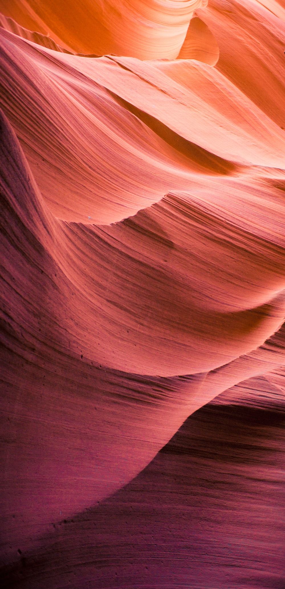 A photograph of the inside of a canyon with pink and orange hues. - Salmon