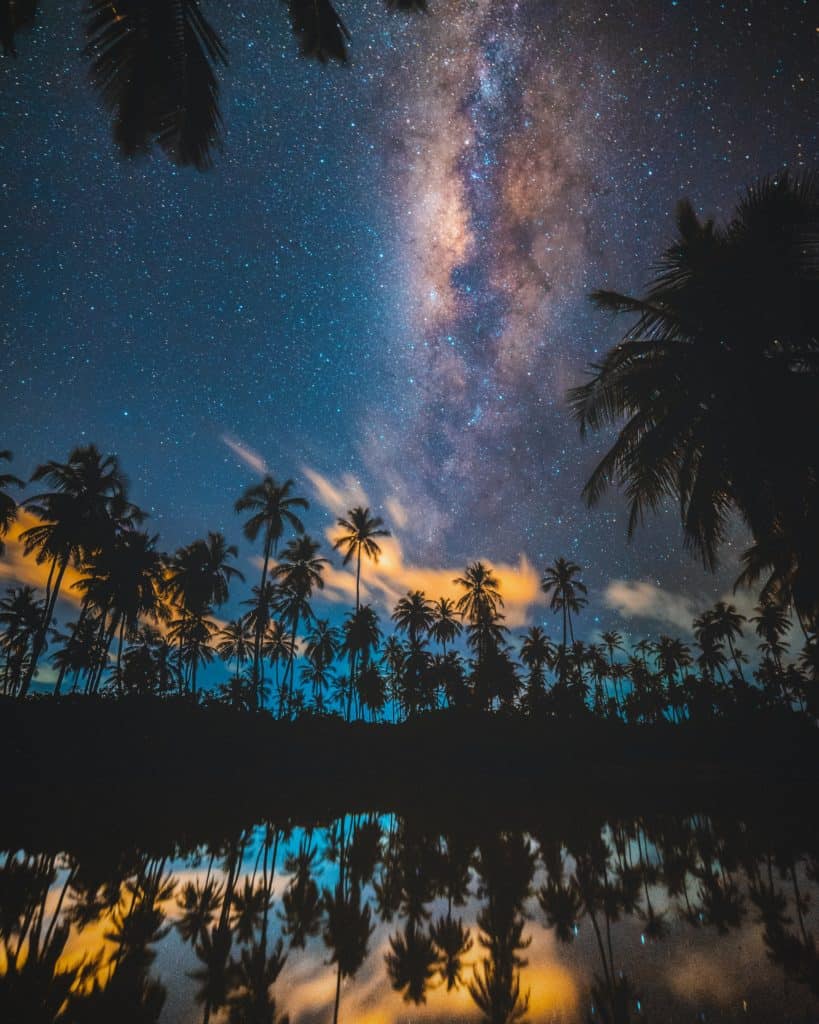 The milky way over palm trees - Space, galaxy