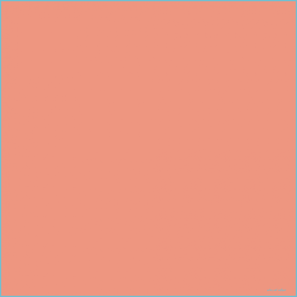 A square with an orange background - Salmon