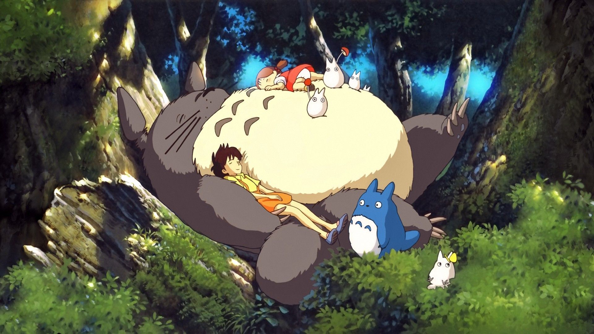 My Neighbor Totoro, Studio Ghibli, anime, Totoro Gallery HD Wallpaper