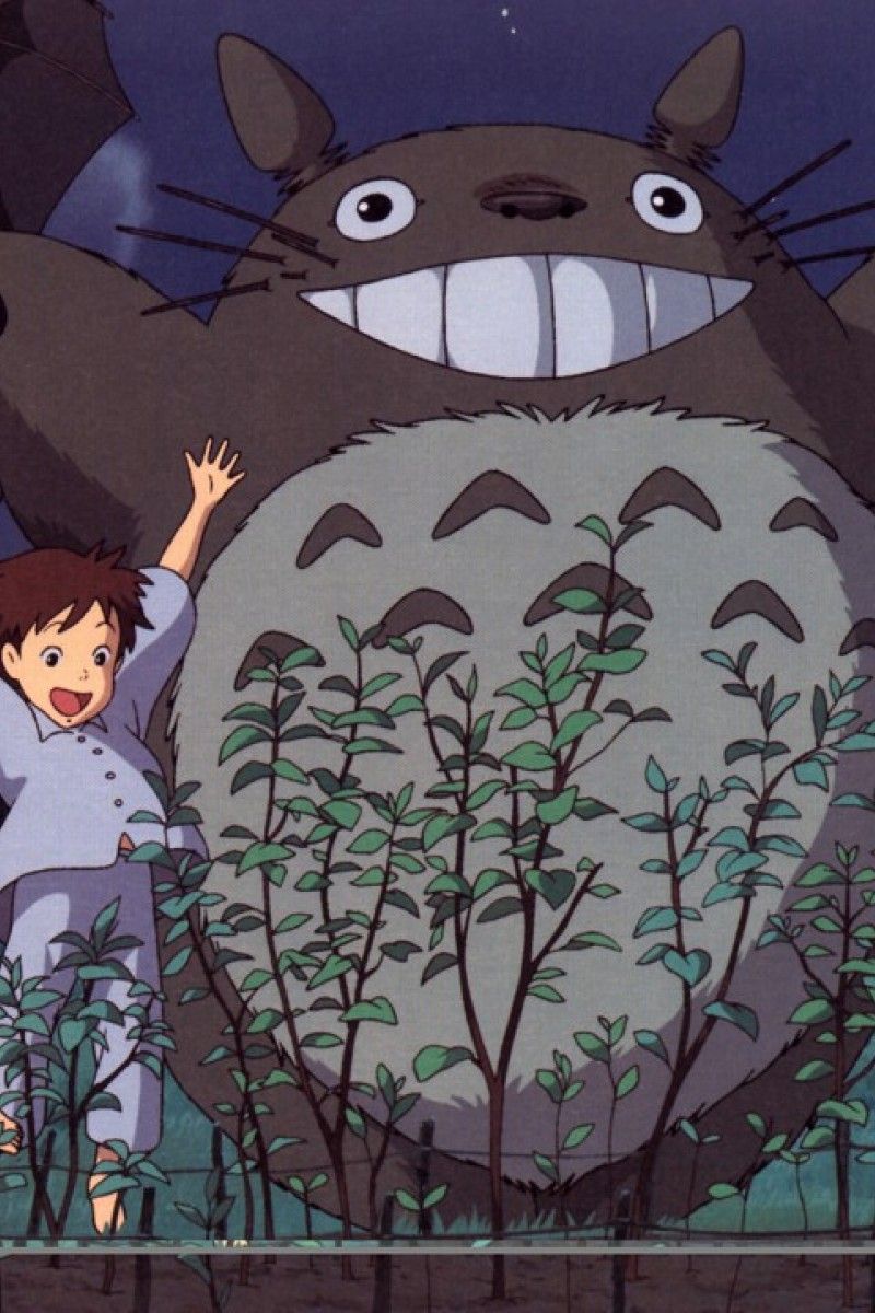 Five Studio Ghibli films due a China release after My Neighbor Totoro gets the ball rolling. South China Morning Post