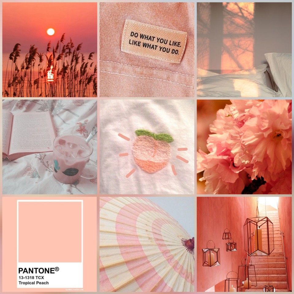 A collage of pink and orange items - Salmon