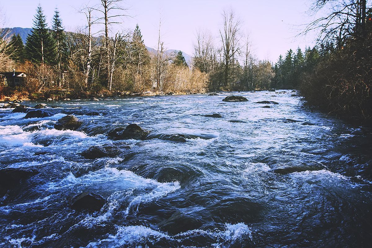 A river with rocks and trees in the background - River