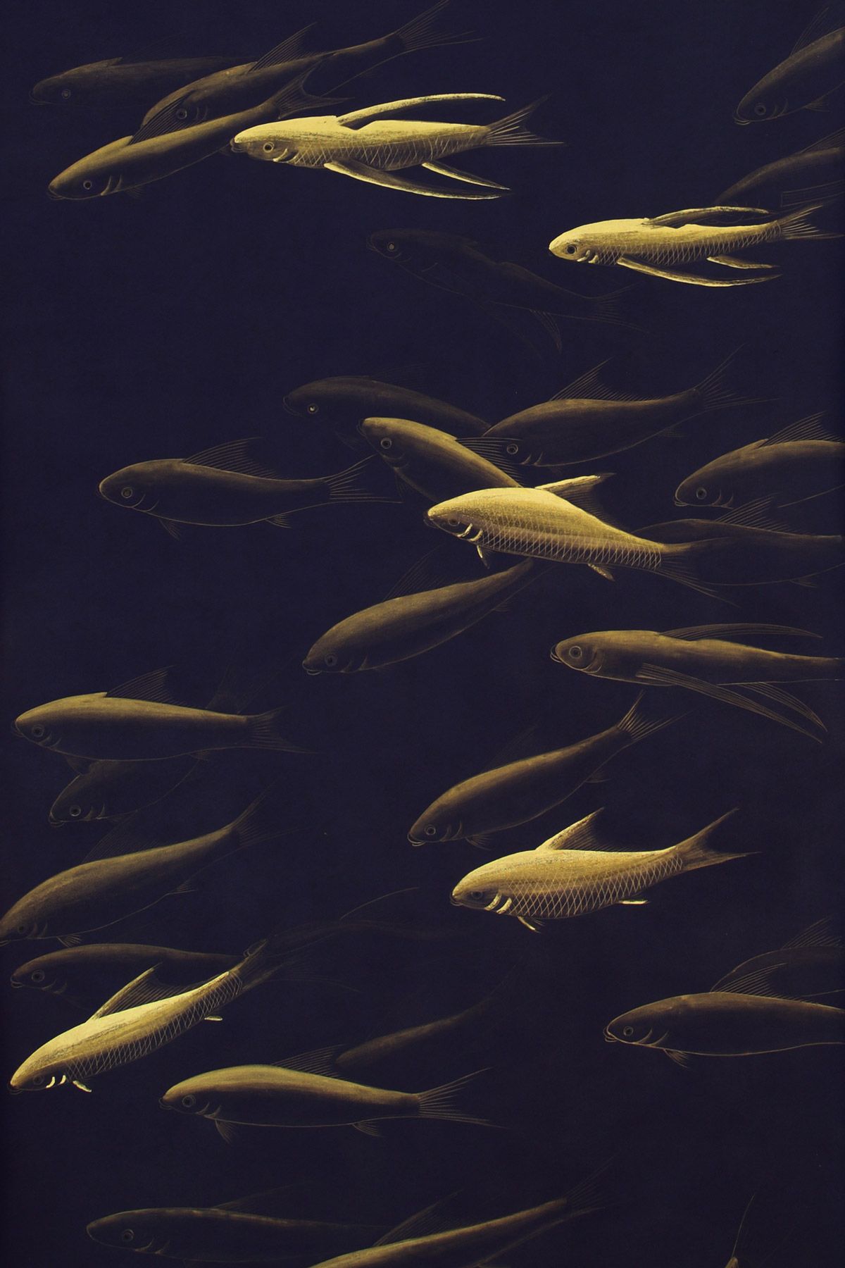 A large group of fish swimming in the water - Fish