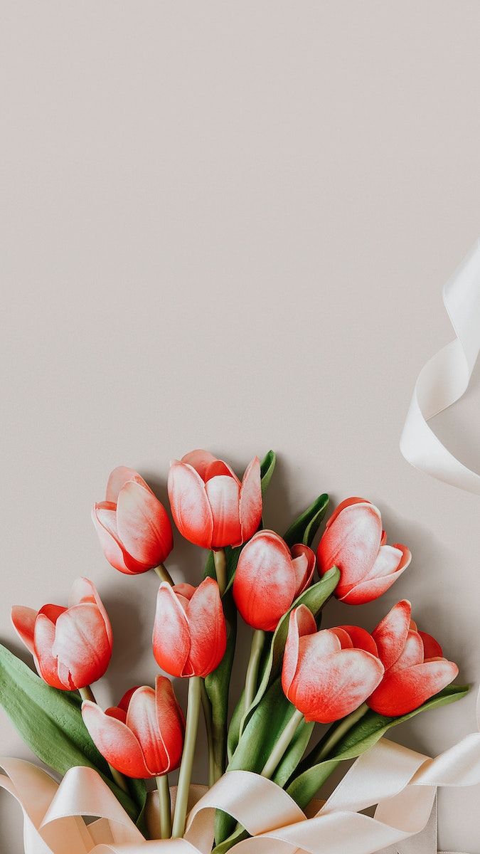 Red Tulip Invitation Image Wallpaper