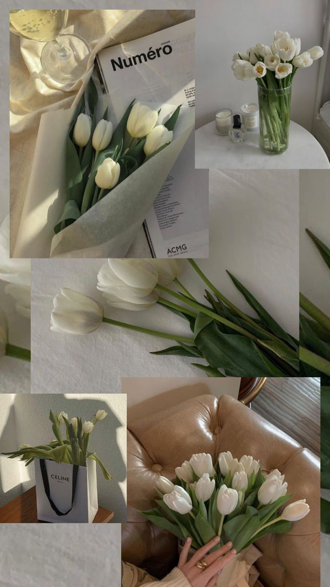 A series of pictures show flowers in different poses - Tulip