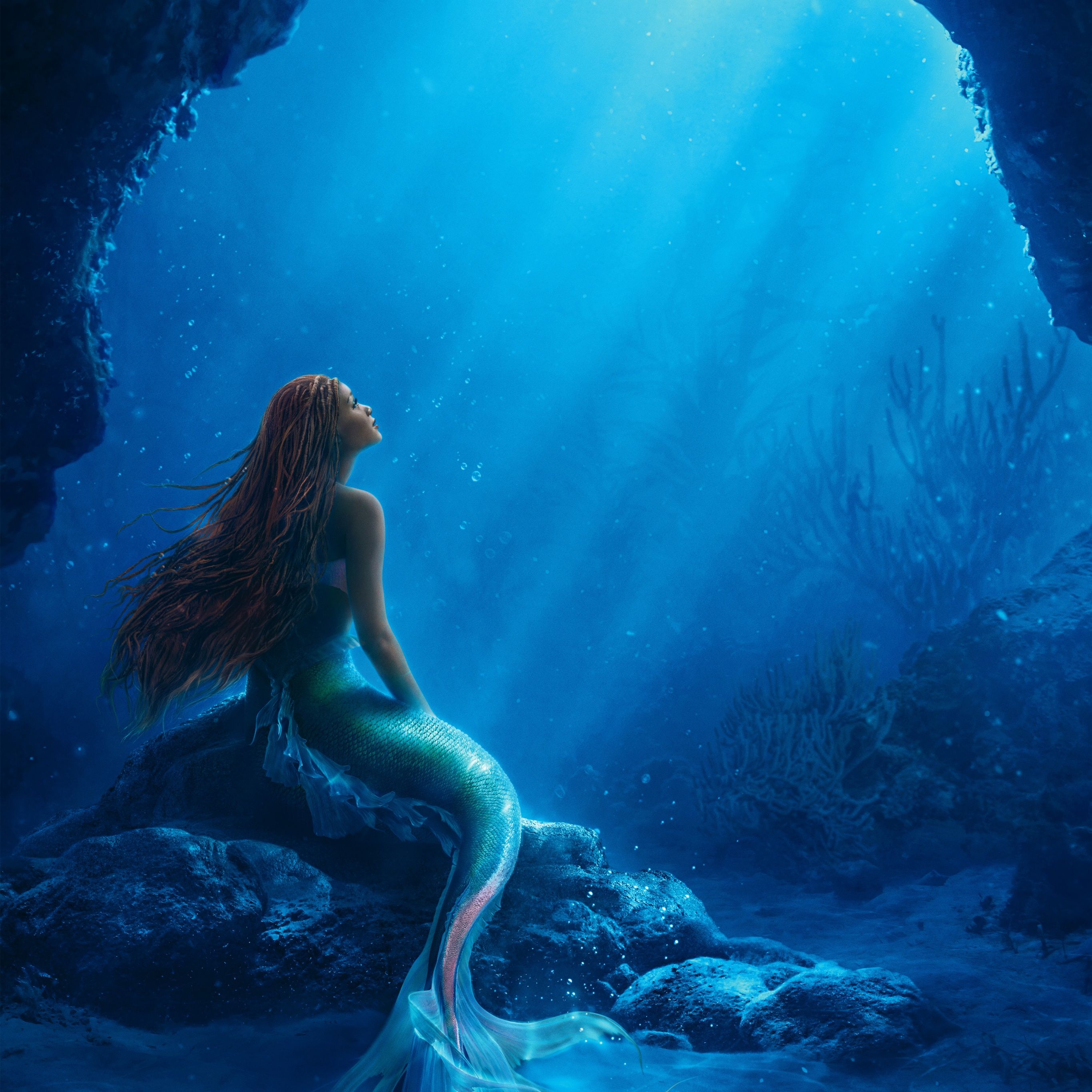 A mermaid sitting in the ocean with her hair flowing - Mermaid