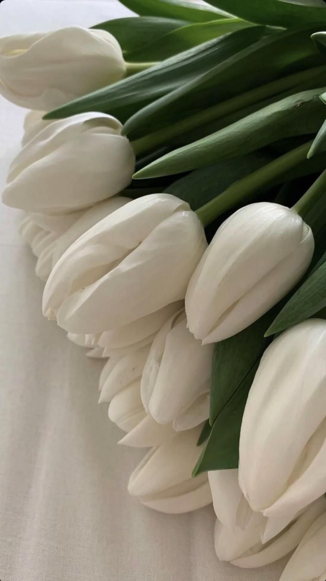 Idea Pins by you. Flower aesthetic, White flowers, Tulips