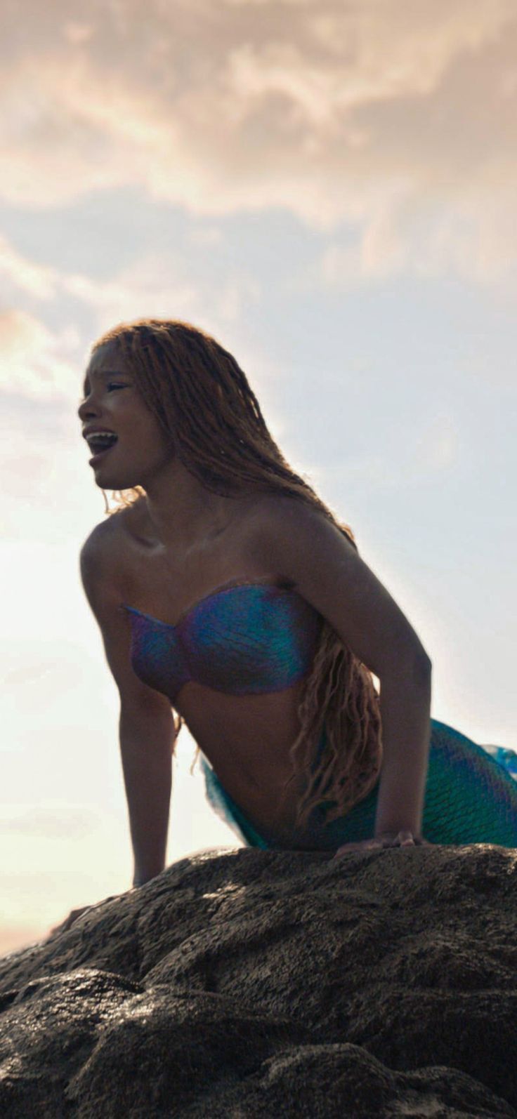 A woman in mermaid costume on top of rock - Mermaid