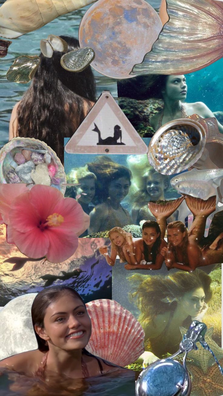 Mermaids, shells, and sea creatures are collaged together in this image. - Mermaid
