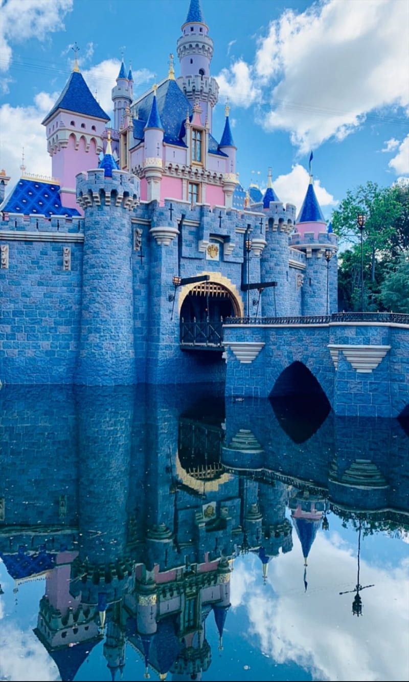 The reflection of the castle in the water. - Disneyland