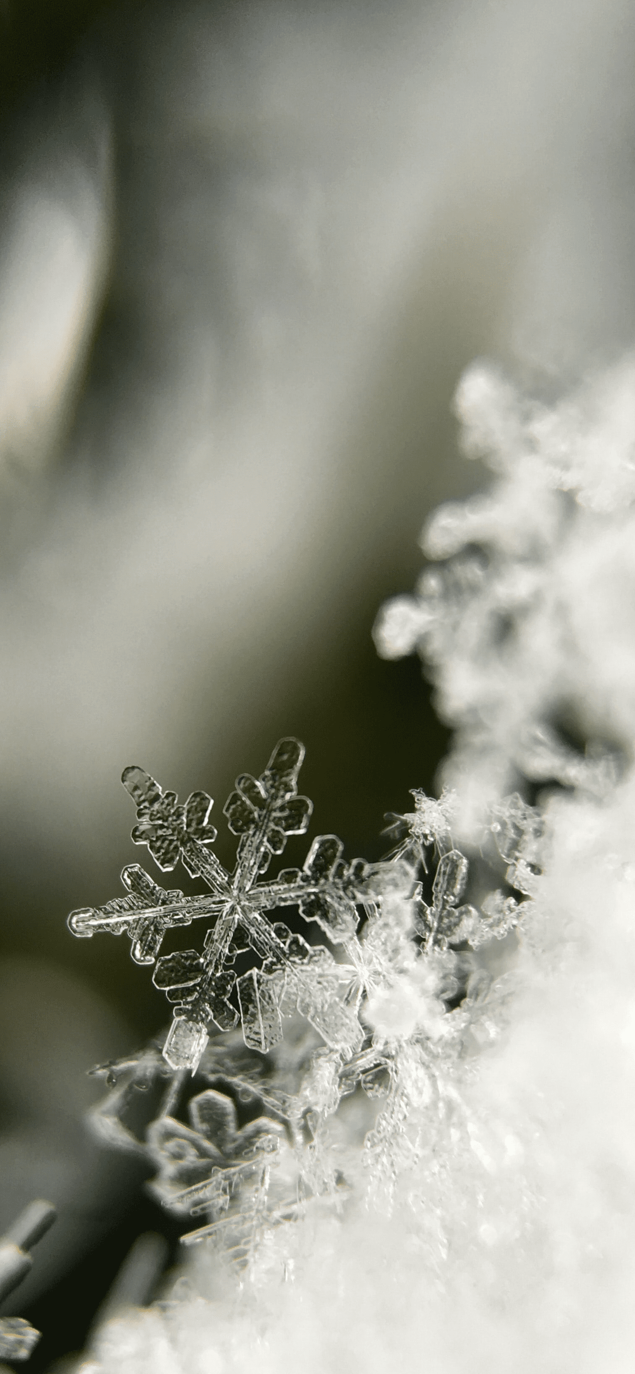 Snowflakes Wallpaper for iPhone Pro Max, X, 6