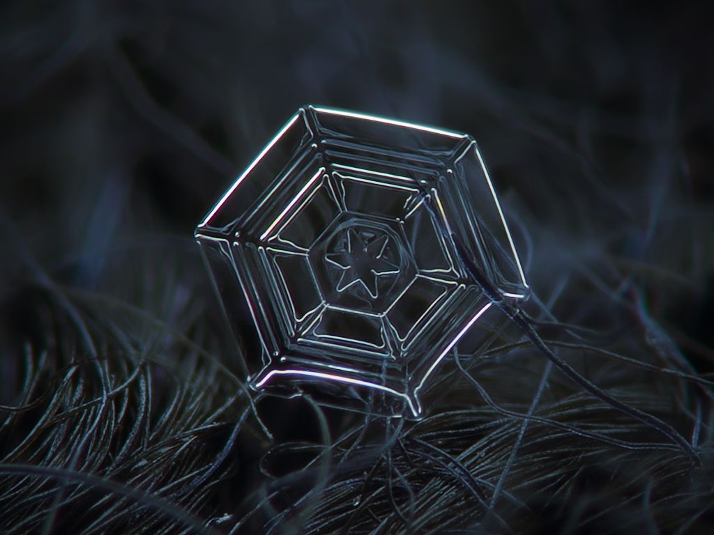 The most beautiful snowflake photo you'll ever see, captured with a cheap DIY camera