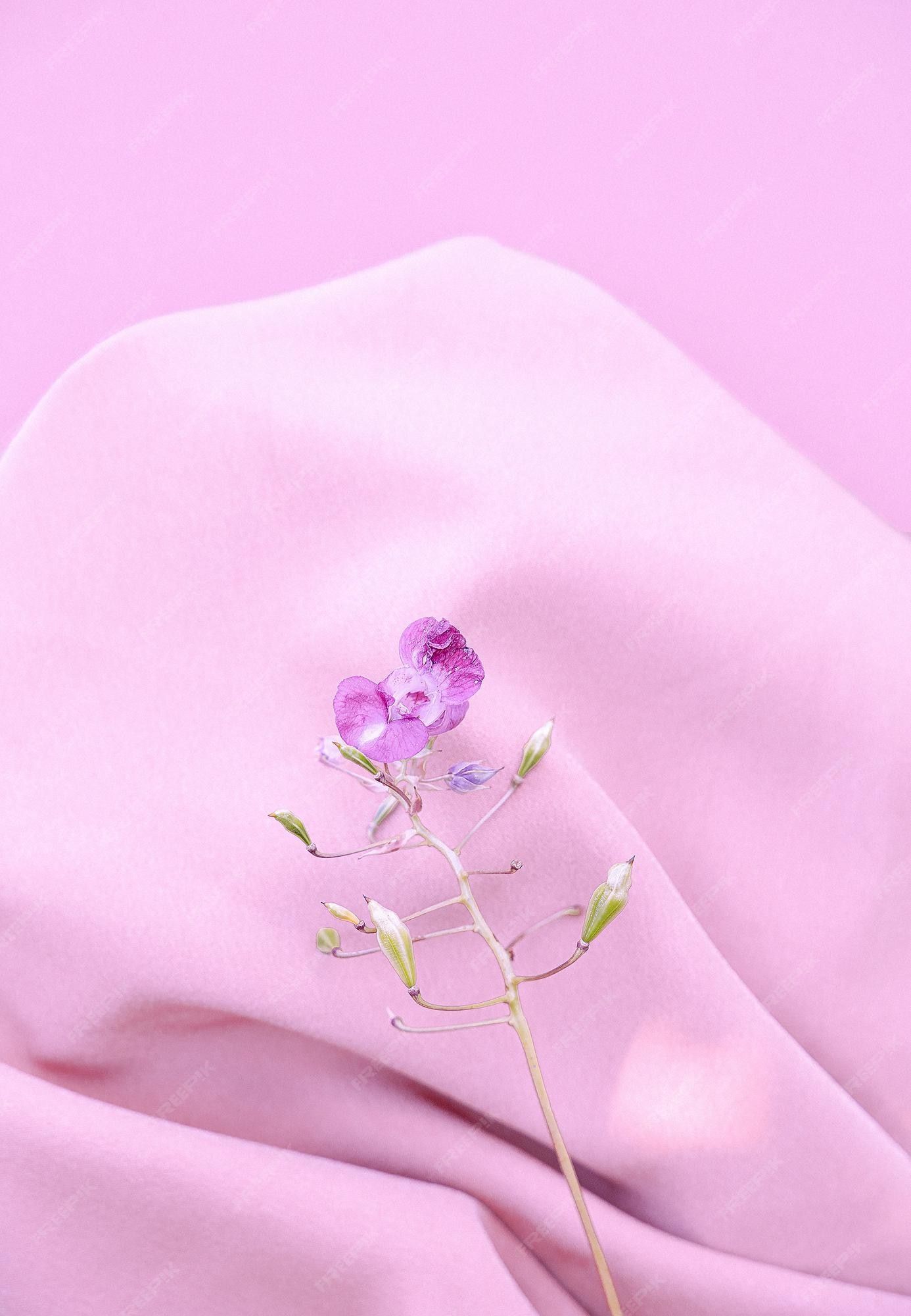 A purple flower sitting on top of a pink cloth - Silk, light purple