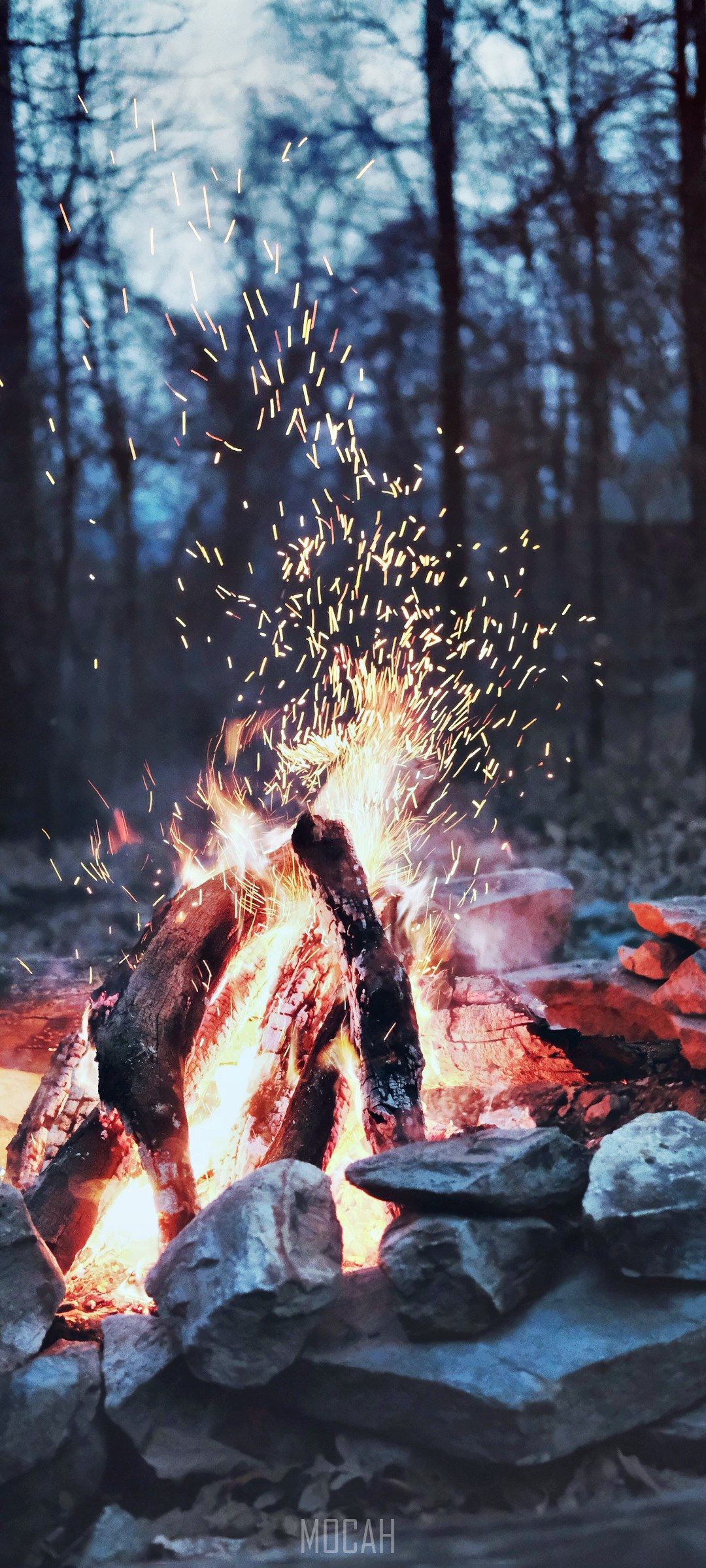 A bonfire in the woods with sparks flying - Camping
