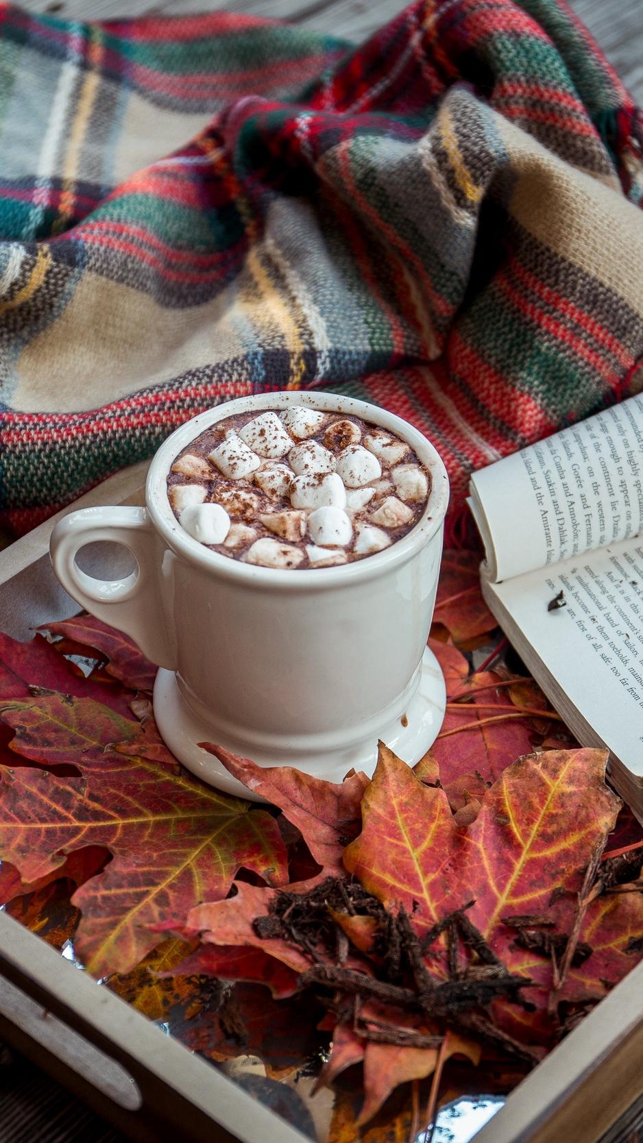 A cup of hot chocolate sitting on top an open book - Chocolate