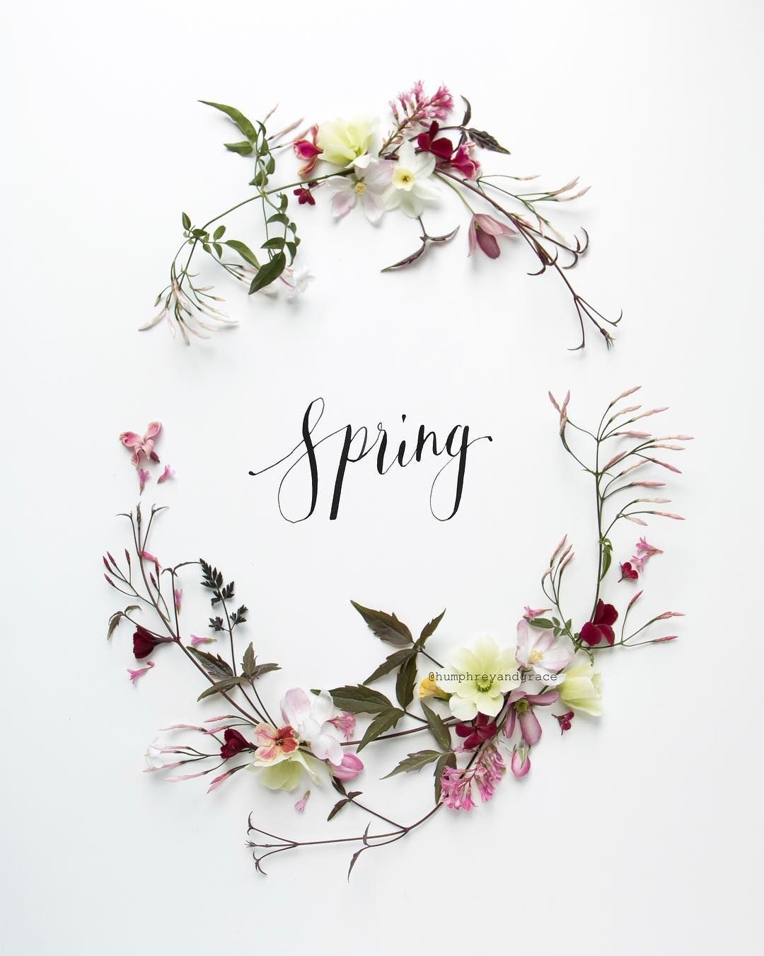 Free download Spring Aesthetic Hello Spring 1904083 HD Wallpaper [1080x1350] for your Desktop, Mobile & Tablet. Explore Aesthetic Spring Wallpaper. Aesthetic Wallpaper, Emo Aesthetic Wallpaper, Goth Aesthetic Wallpaper