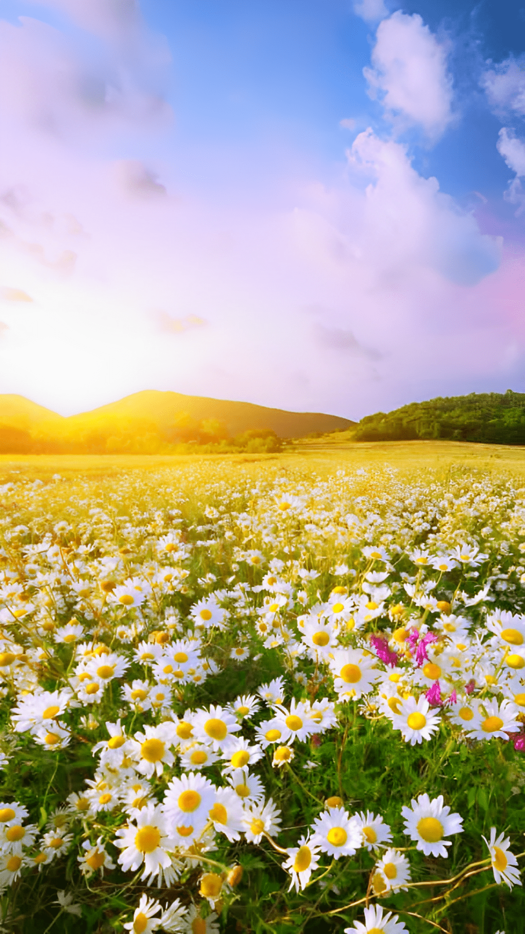 Aesthetic Spring Wallpaper Download For Free [HQ]
