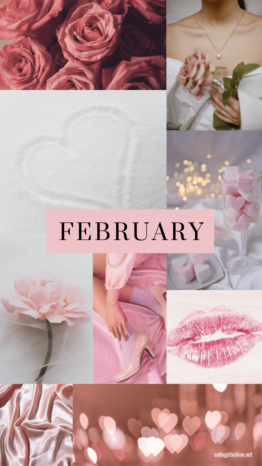 A collage of pictures with the word february - Valentine's Day