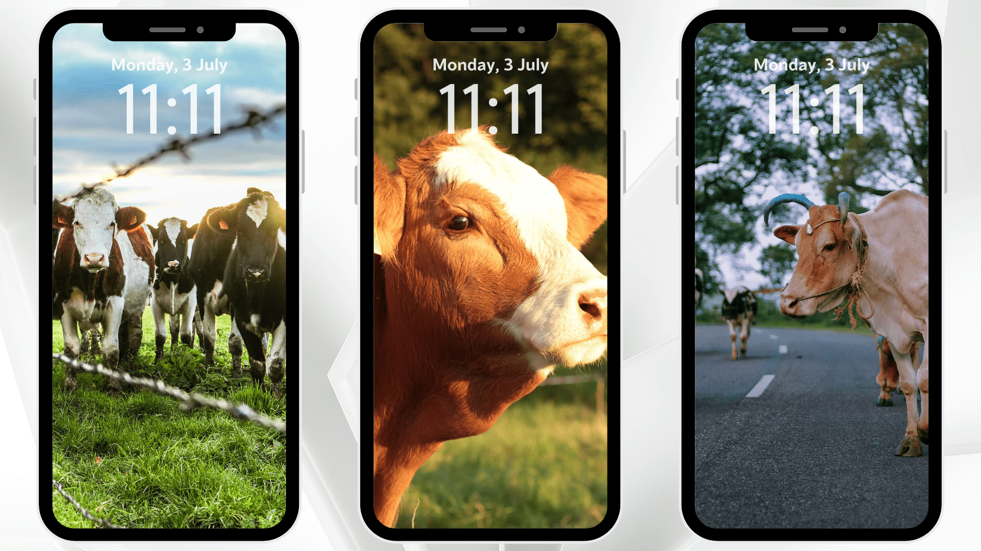 Cow Aesthetic Wallpaper:Amazon.com:Appstore for Android
