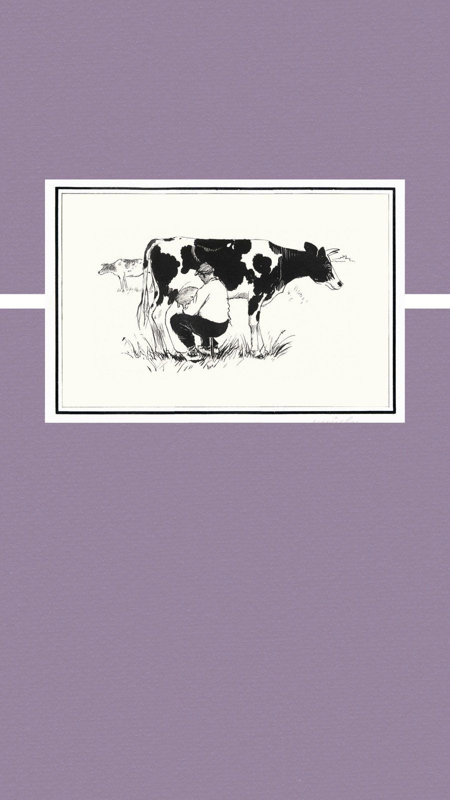 A book cover with the title cow - Cow