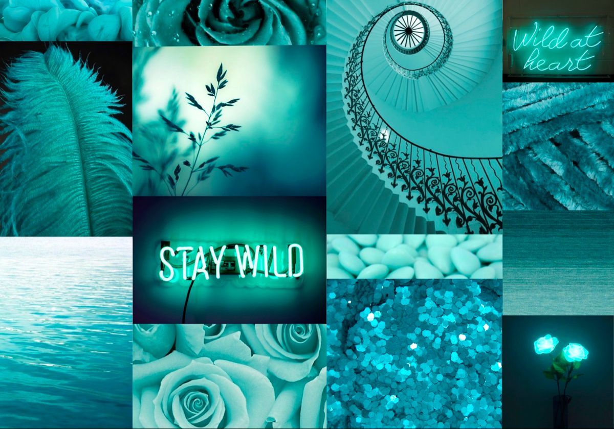 Teal aesthetic collage background with the words stay wild - Teal, turquoise