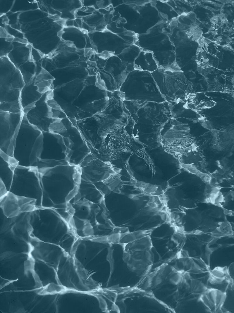 A close up of water in the pool - Water, bling