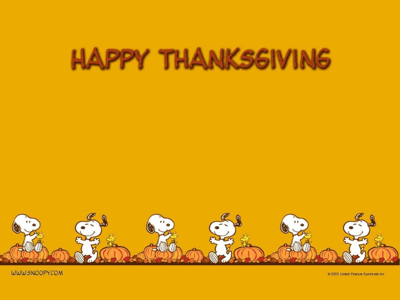 Snoopy Thanksgiving wallpaper with Charlie Brown and Woodstock in front of pumpkins. - Thanksgiving