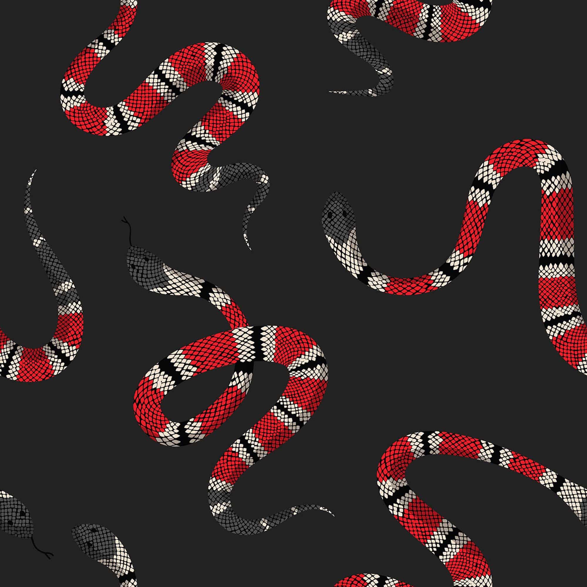A pattern of red and black snakes on a black background - Snake