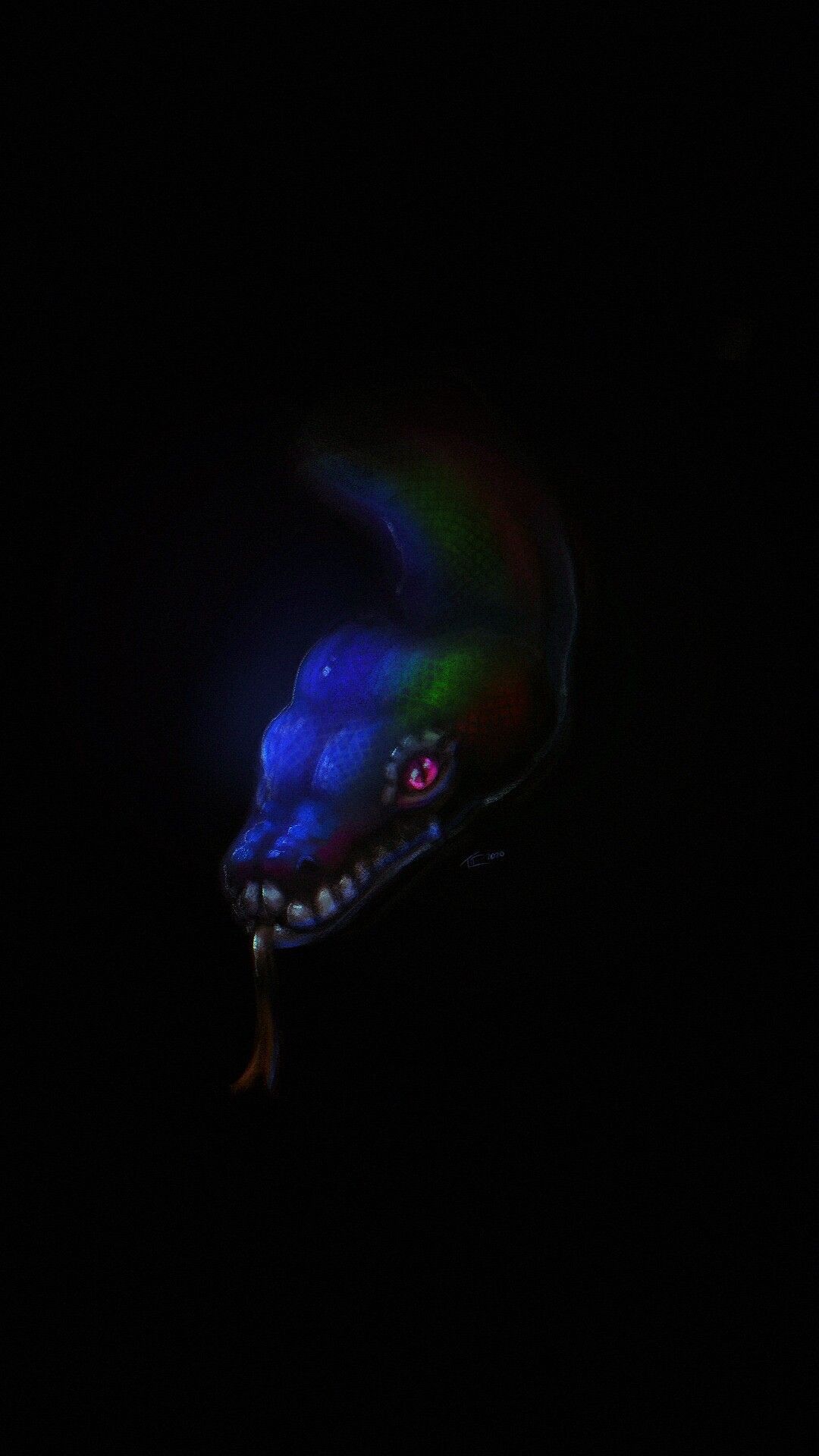 A snake with glowing eyes in the dark - Snake