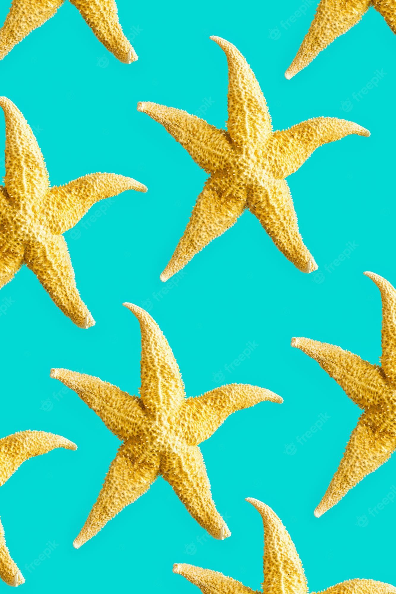 Premium Photo. Bright summer pattern with sea stars. yellow starfish on turquoise color background, sea summer vacation concept